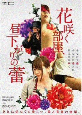 逆光而行 电影封面
